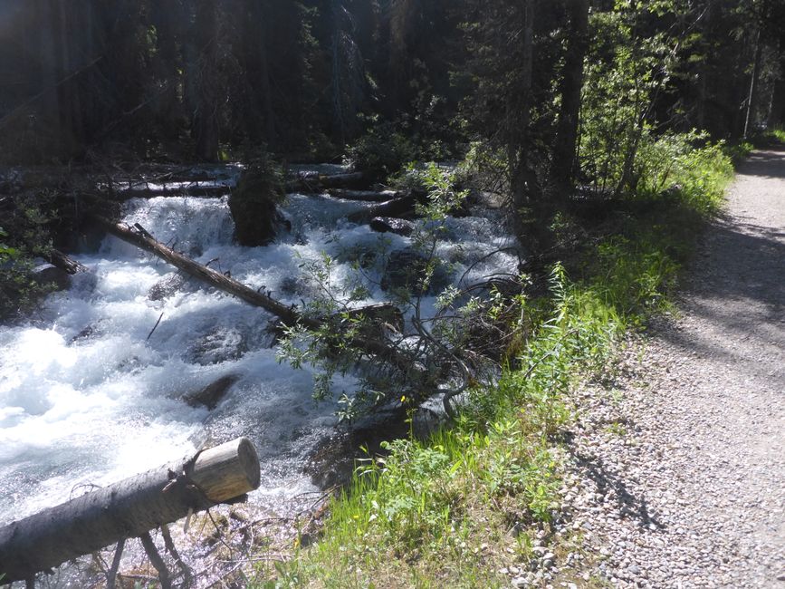 Descente le long de la rivière