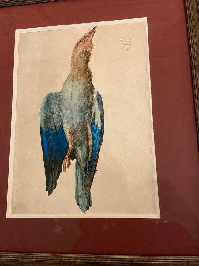 Dürer u Da Vinci