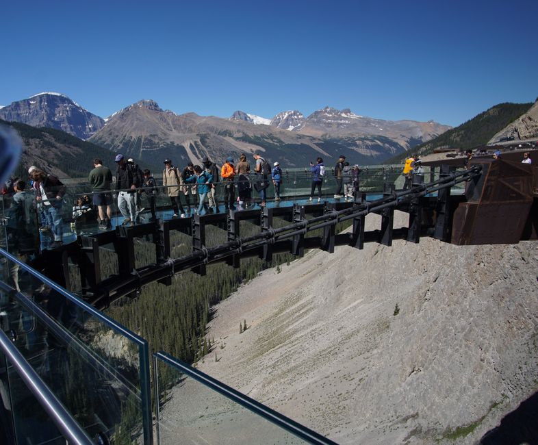 Tag 8 : Poursuite du voyage vers Jasper