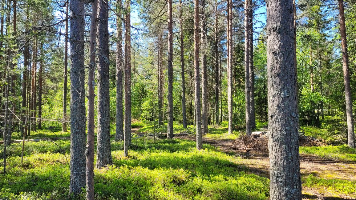 Finnland 31.Mai-14.Juni 2024/5.Juni