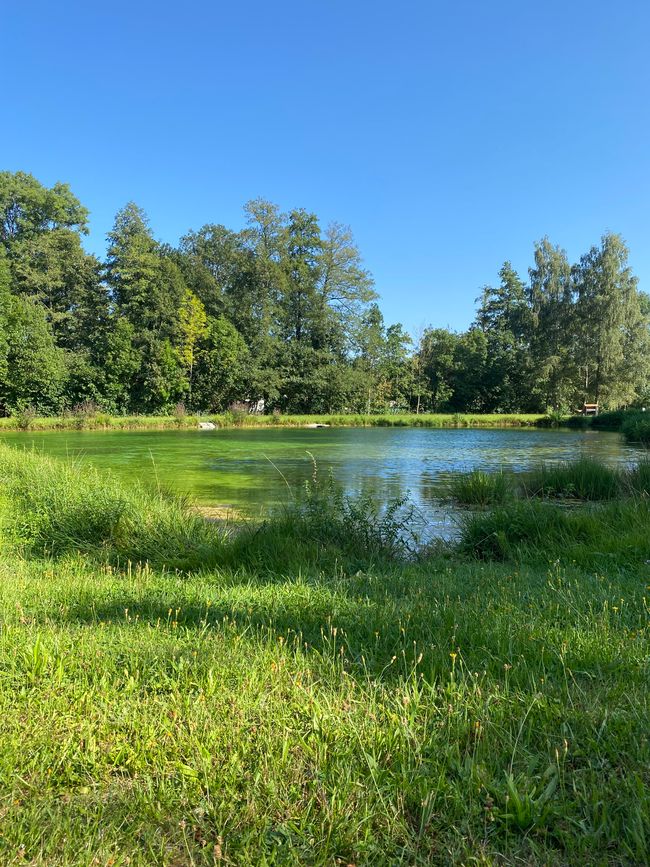 📍Baggersee, Spalt/ 📍 Quarry lake, Spalt