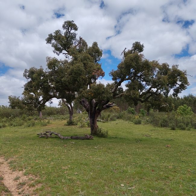 Cercal de Alentejo -> Vale Seco