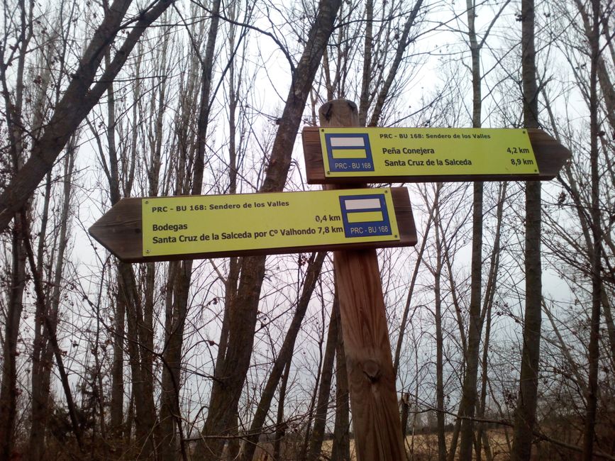 Vadocondes Picnic Area (Ribera del Duero, Burgos) (December 2021)