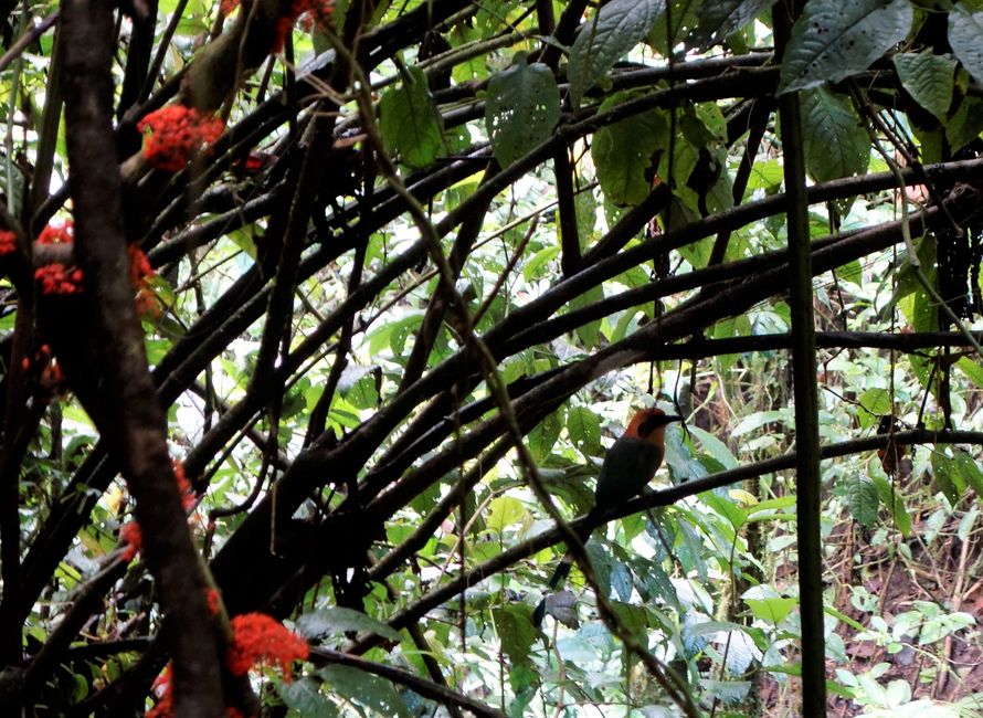 Die Entdeckung der Langsamkeit