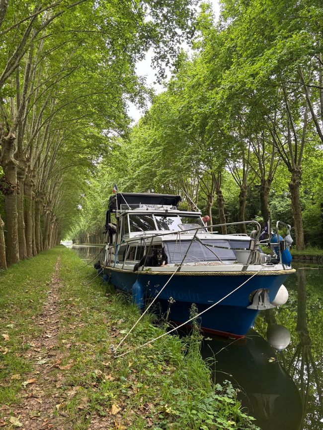 ... Im Canal Rhône au Rhin 