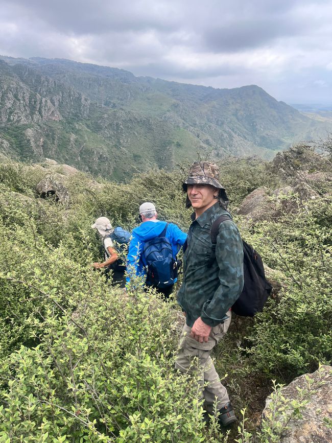 Trekking (Los Gigantes)