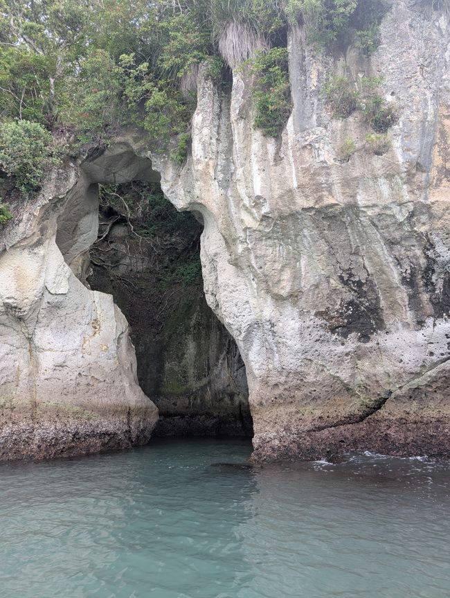 Whithianga