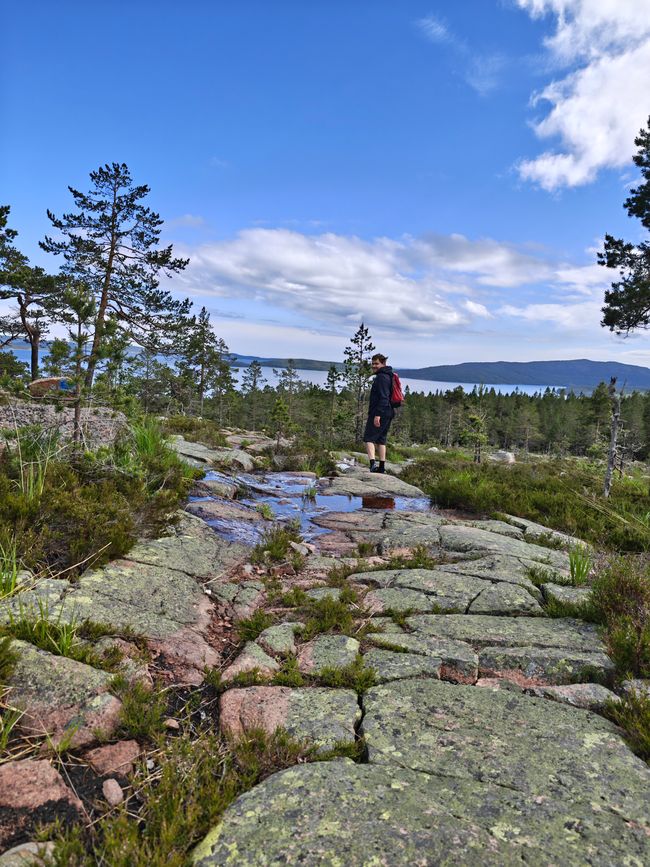 Parque Nacional Skoleskogens