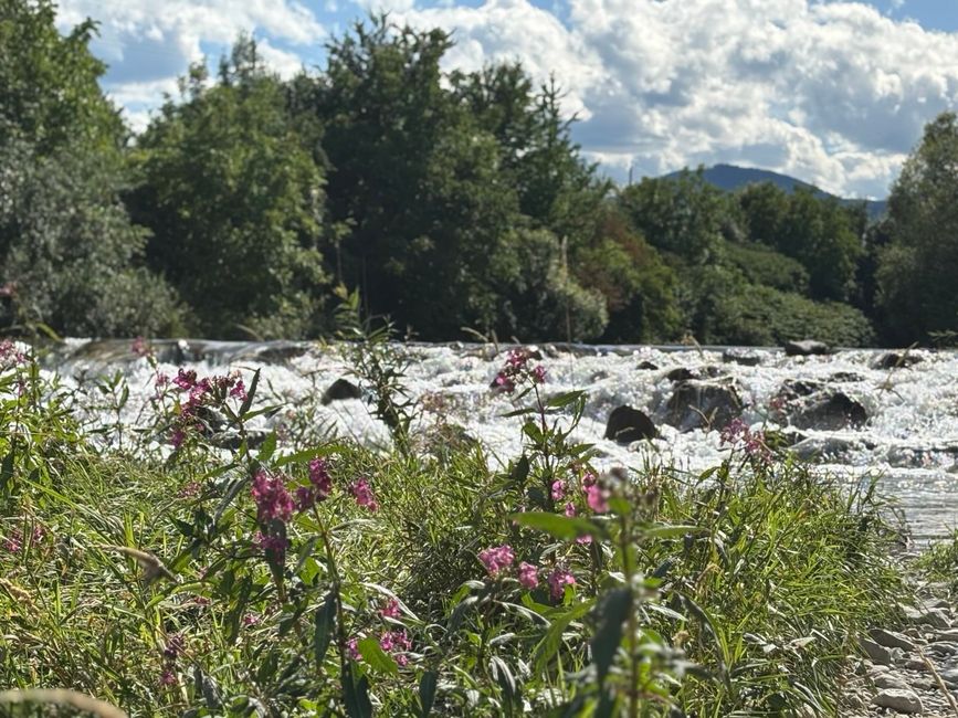 Von Graz nach Wien