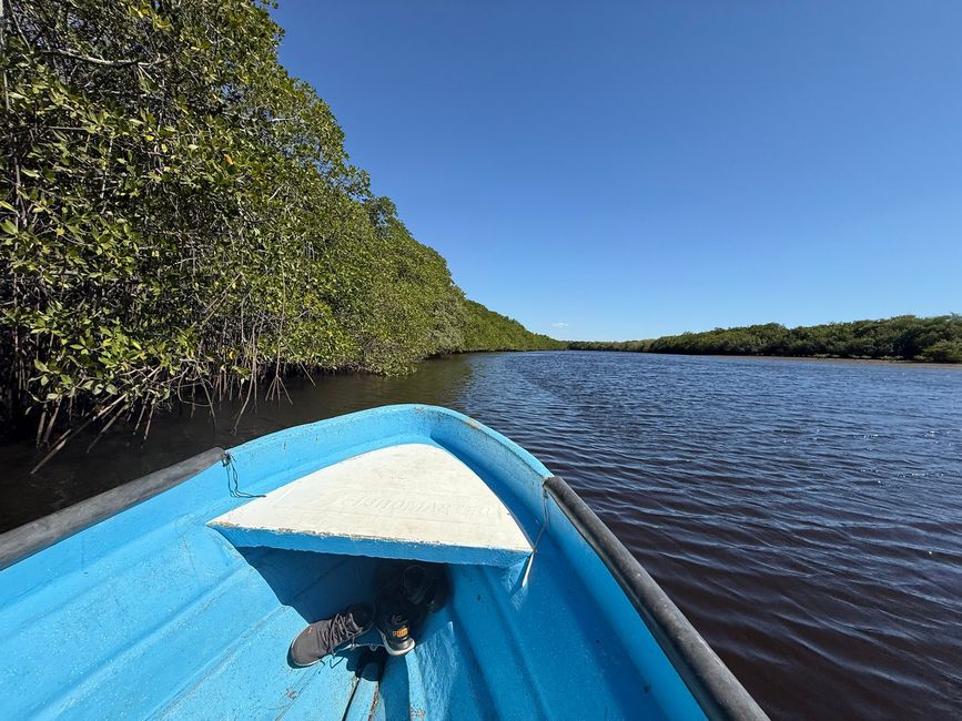 BLOG 20: Nicaragua - Costa del Pacífico y Bosque de Manglares