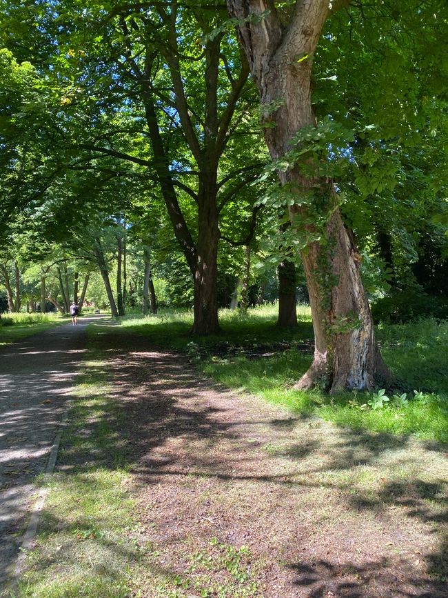 Traumhafter Park