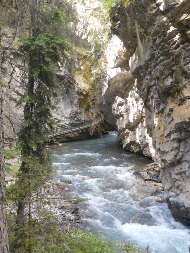 2025-06-30 Bow Parkway verso Banff