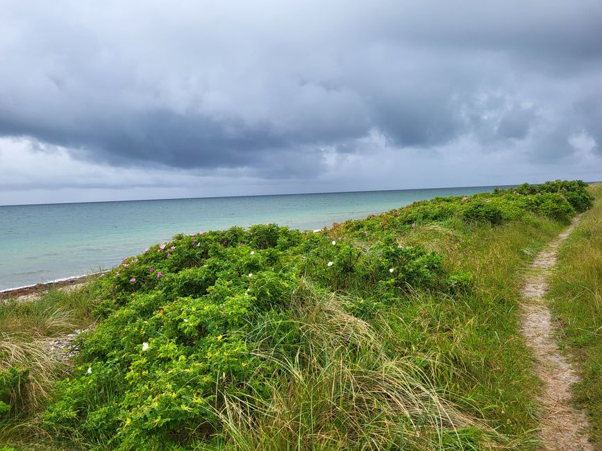 Wanderung bei Orth zum Flügger Leuchtturm