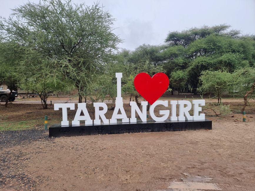 Tansania - Tag 2: Tarangire Nationalpark