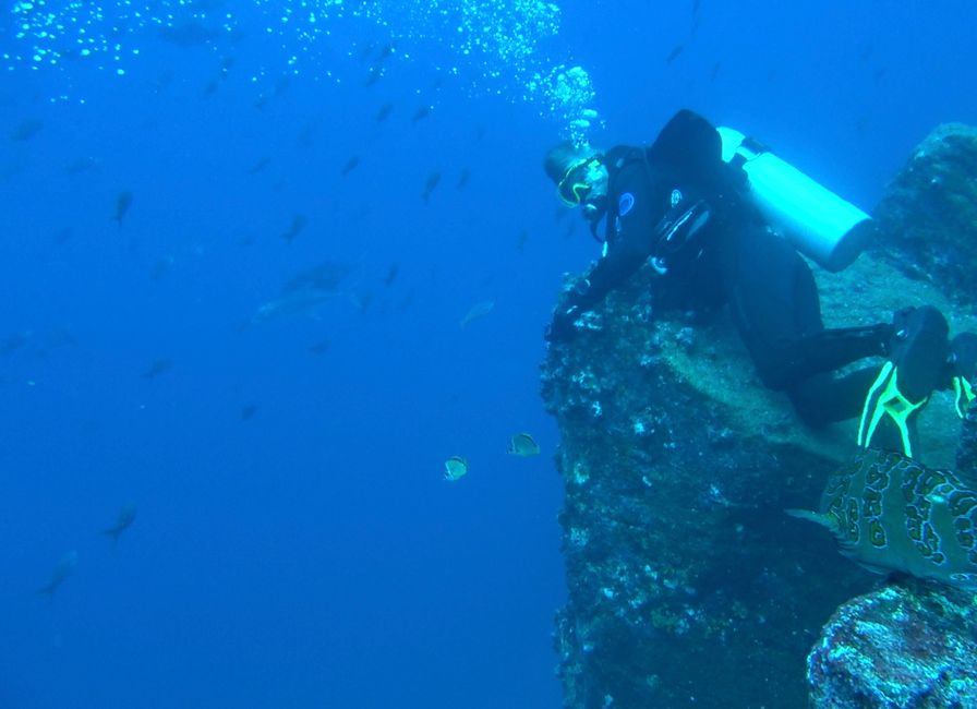 Diving in Galapagos Part 2