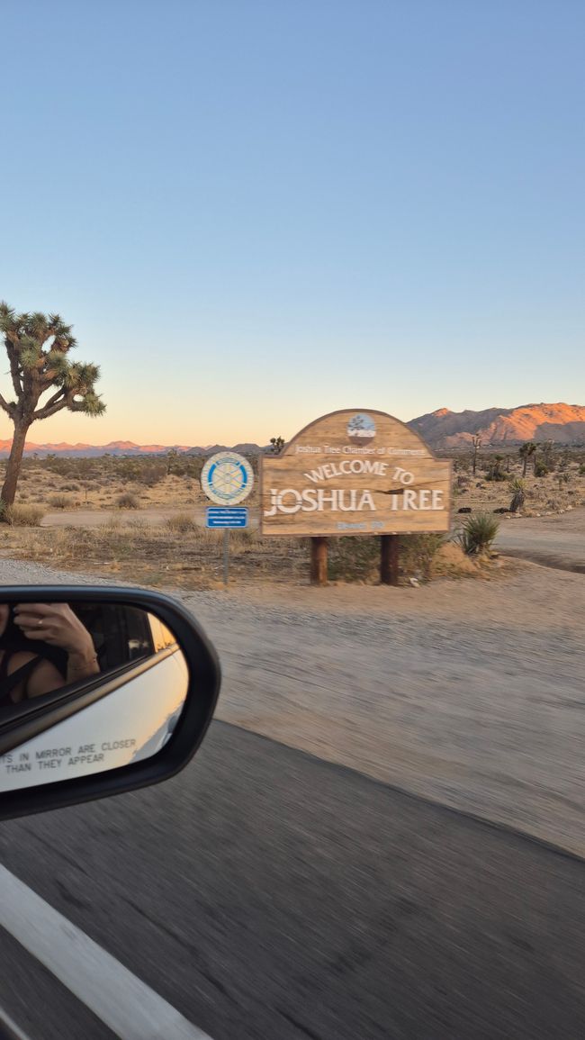 25.09. San Diego / Arrival Joshua Tree