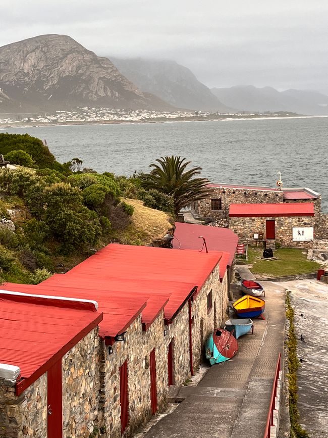 Hermanus