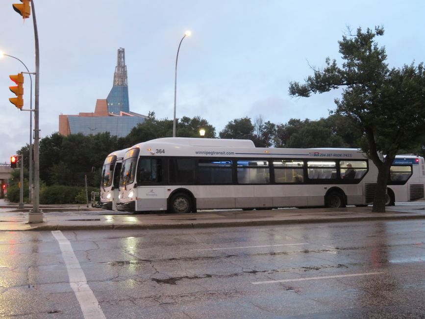 Die hervorragenden Busse