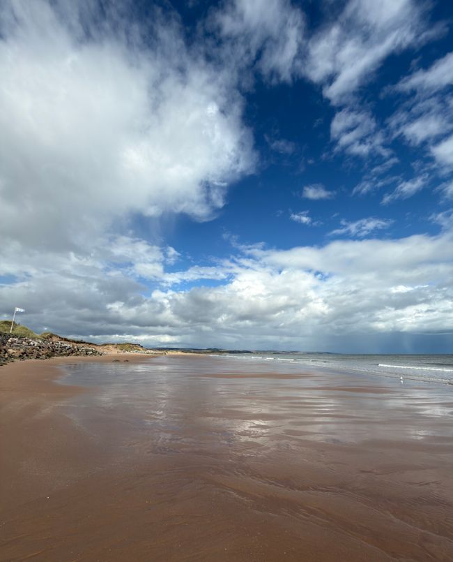 Tage in Montrose..