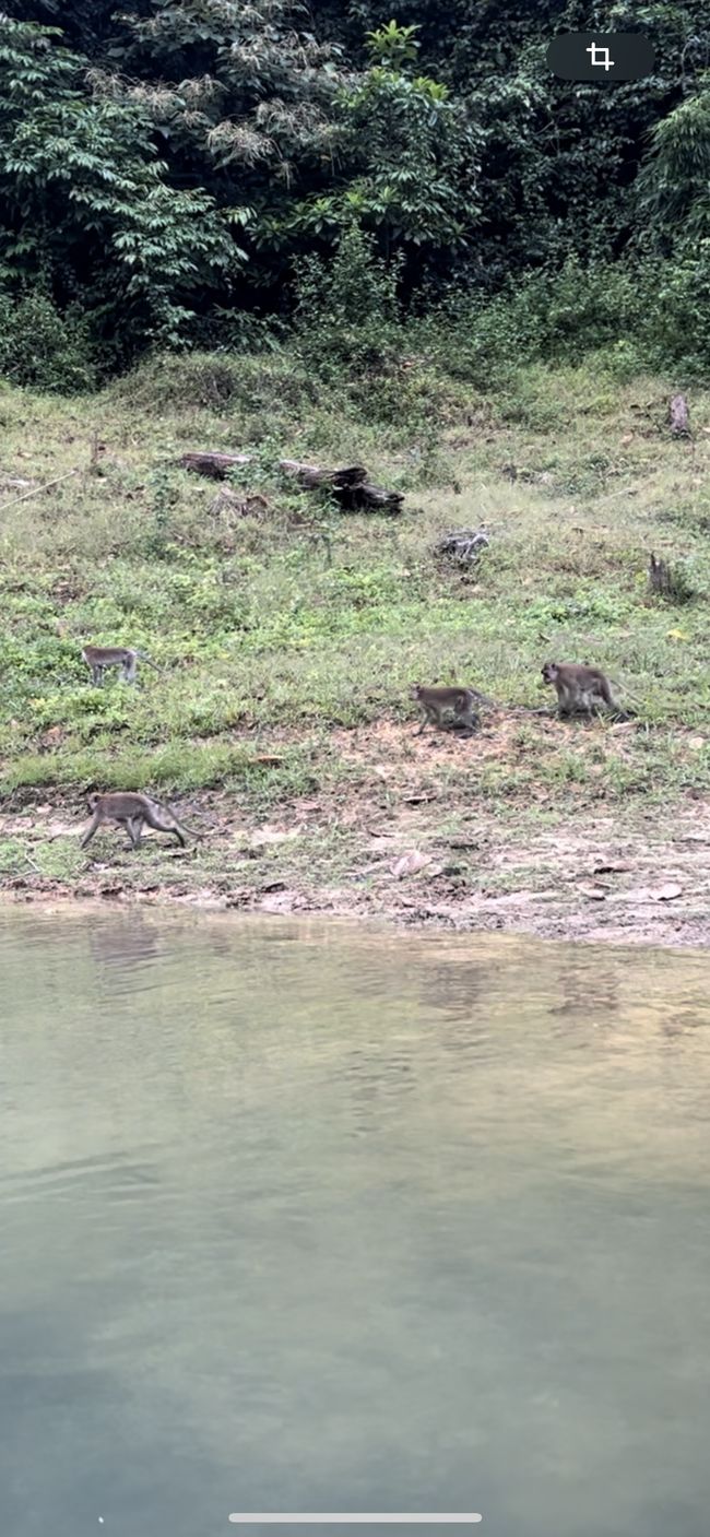 Khao Sok Nationalpark