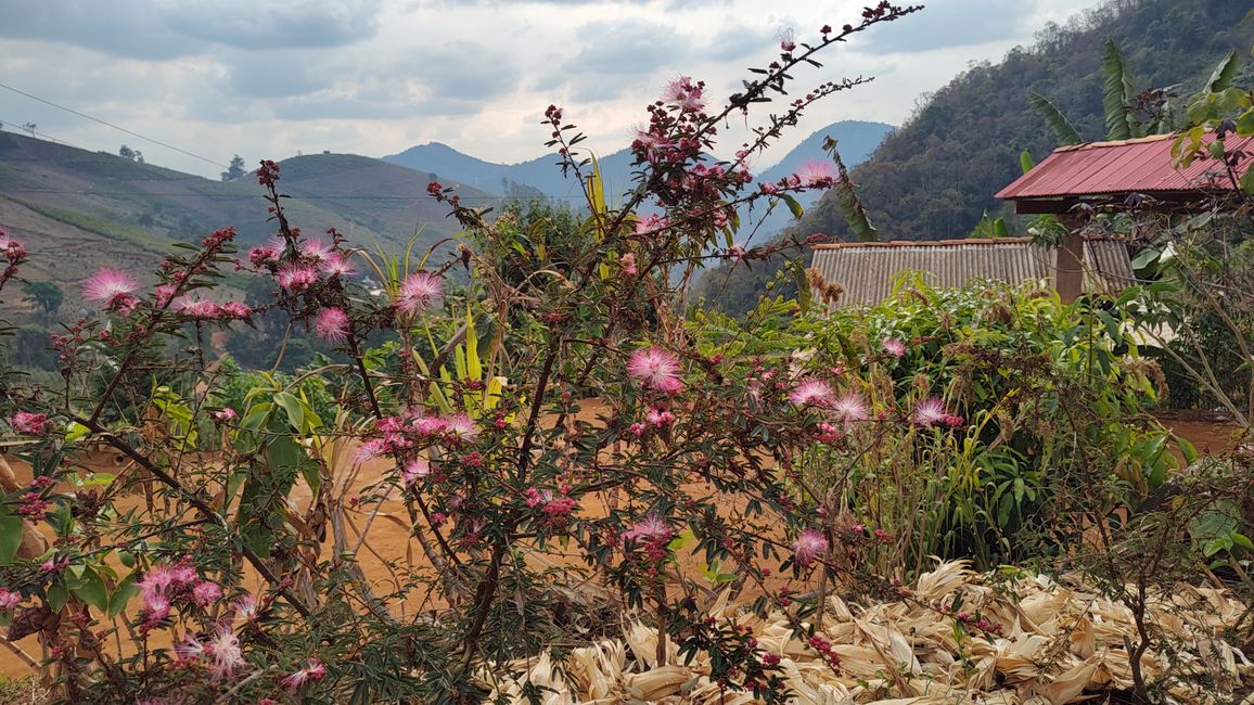 Brasil, Pedra Azul