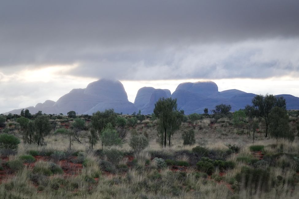 Records at Uluru ....