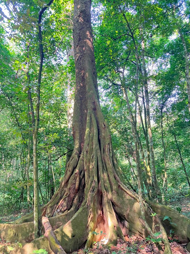 Queen Elizabeth Nationalpark