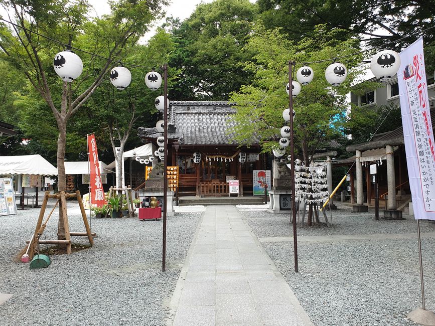 Kawagoe in a Flash
