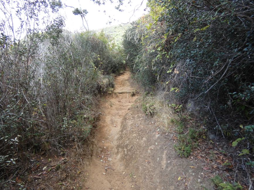 Robinson-Crusoe-Insel (Juan-Fernández-Inseln)