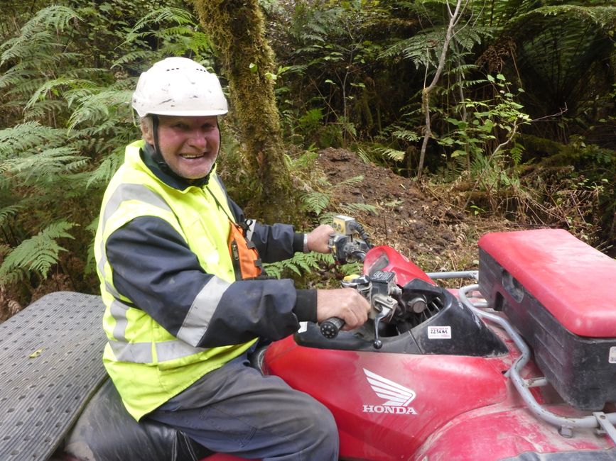 2025-03-29 Tongariro, Timber Trail und ...
