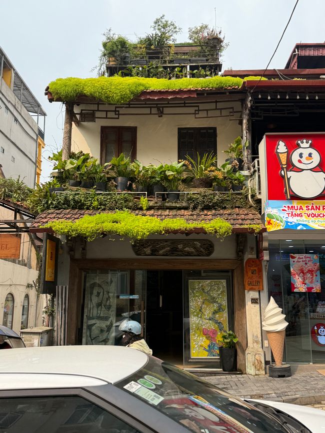 Sapa