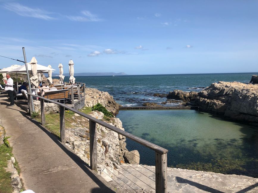 ... Essen direkt am Naturbadebecken
