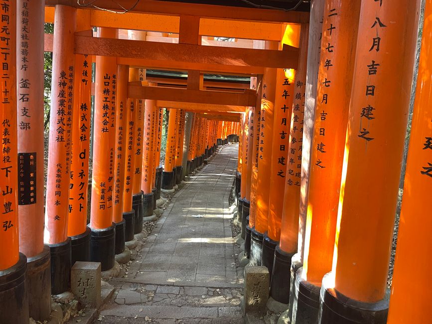 10.Kapitel: Bergsteigen am Fushimi Inari-Taisha