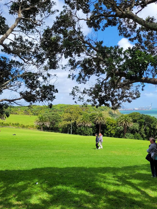 Day 79 of 175: World Cruise - Auckland/New Zealand