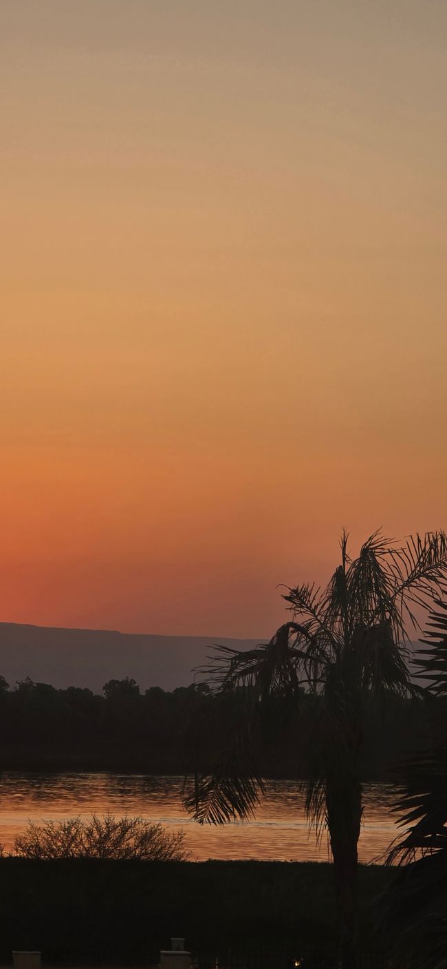 Zwischen Urlaub und Nebenwirkungen- Ägypten hautnah