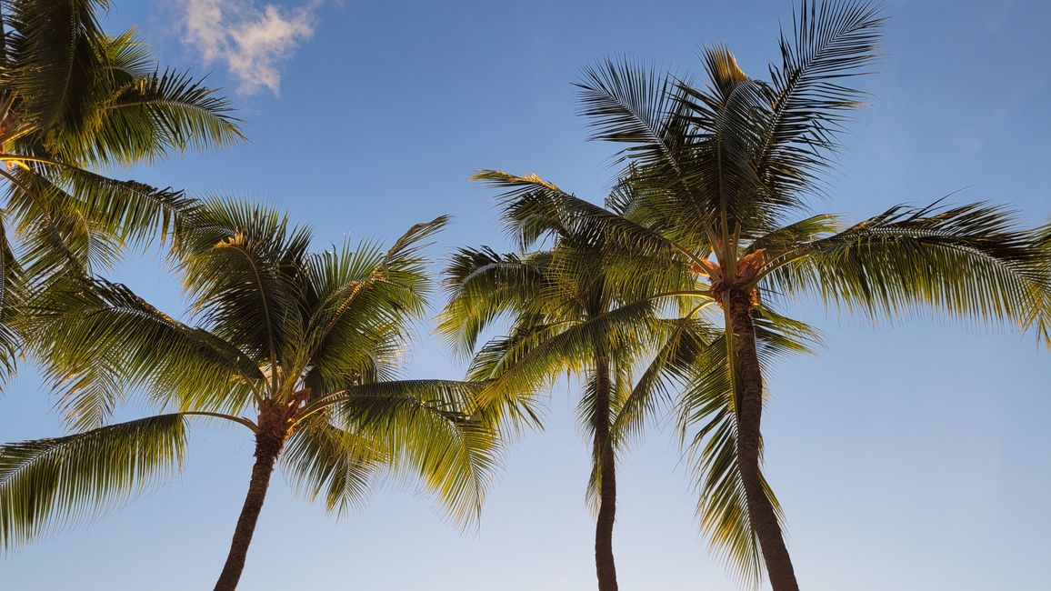 Am 'Ohne-Sorgen-Strand' – Playa Sans Souci-Kaimana