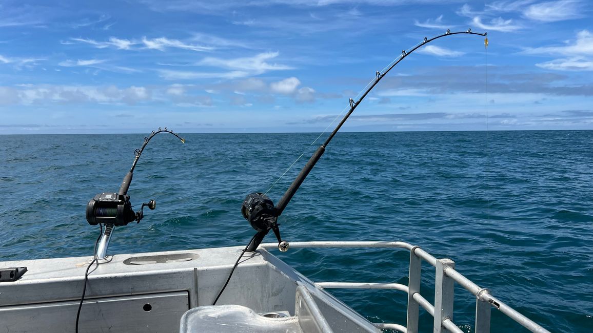Mit den elektrischen Angeln ist das ganze ziemlich einfach