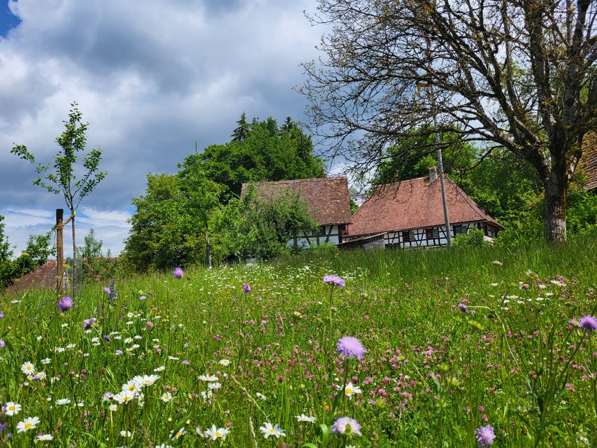 Bauernhaus Museum Wolfegg