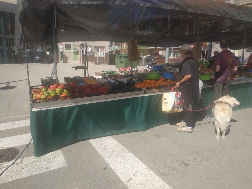 Wochenmarkt Bigues und Riells del Fai (Barcelona) (April 2024)
