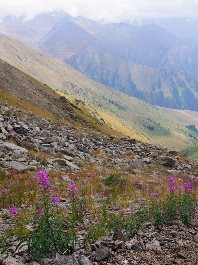 Attraversamento del Passo nel massiccio del Ile-Alatau