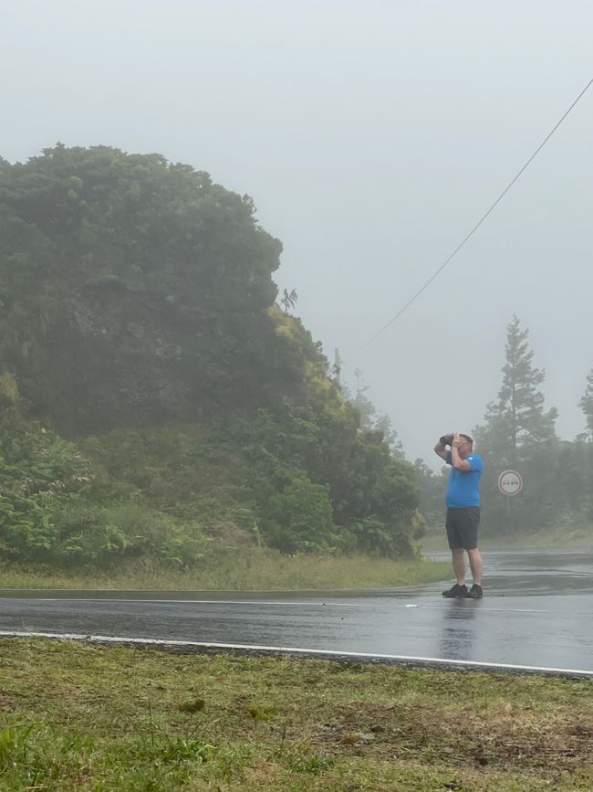 To get a good photo, one must make sacrifices…