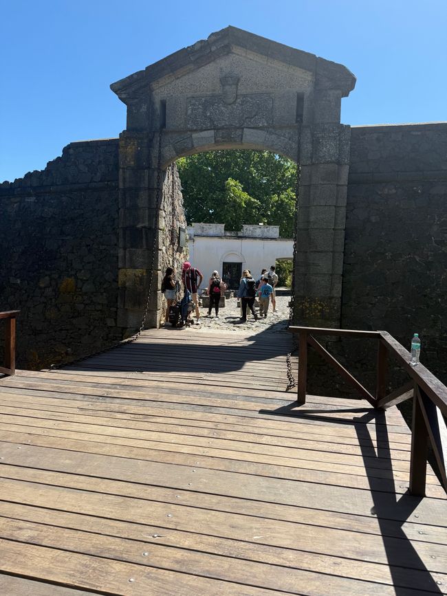 Etiqueta 12: Colón