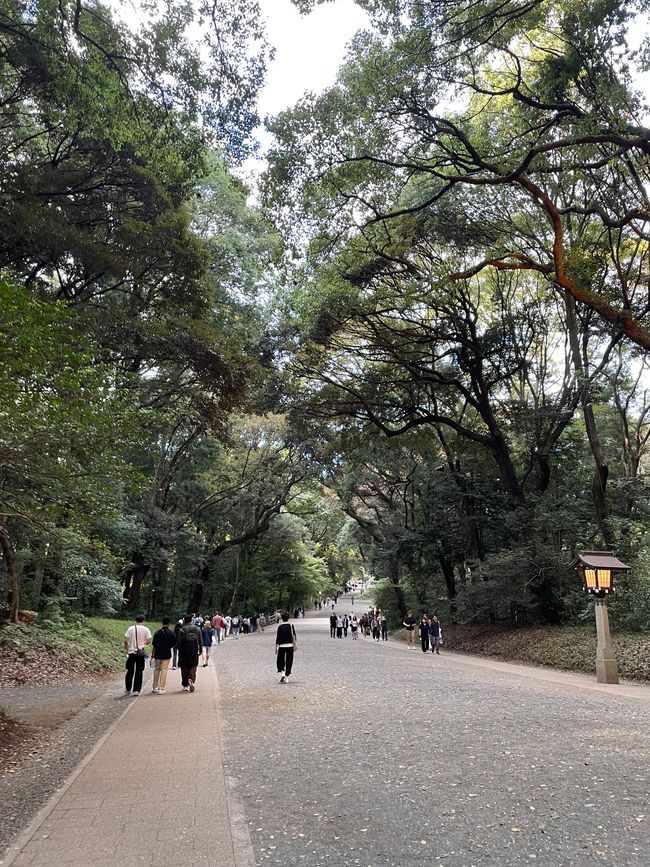 Santuario Meiji (Tokio)