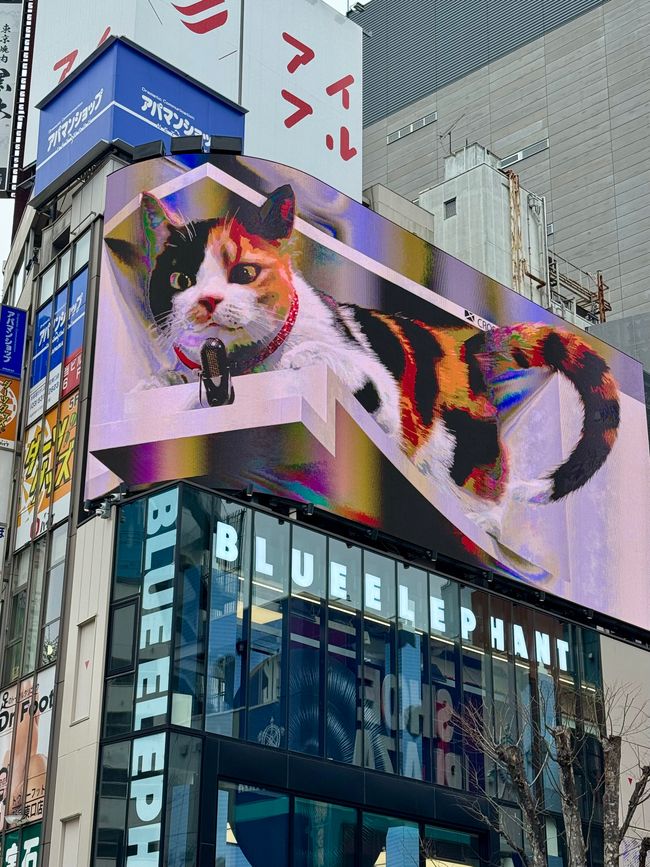 Parte 7
BENVENUTO IN GIAPPONE 🇯🇵
TOKYO
