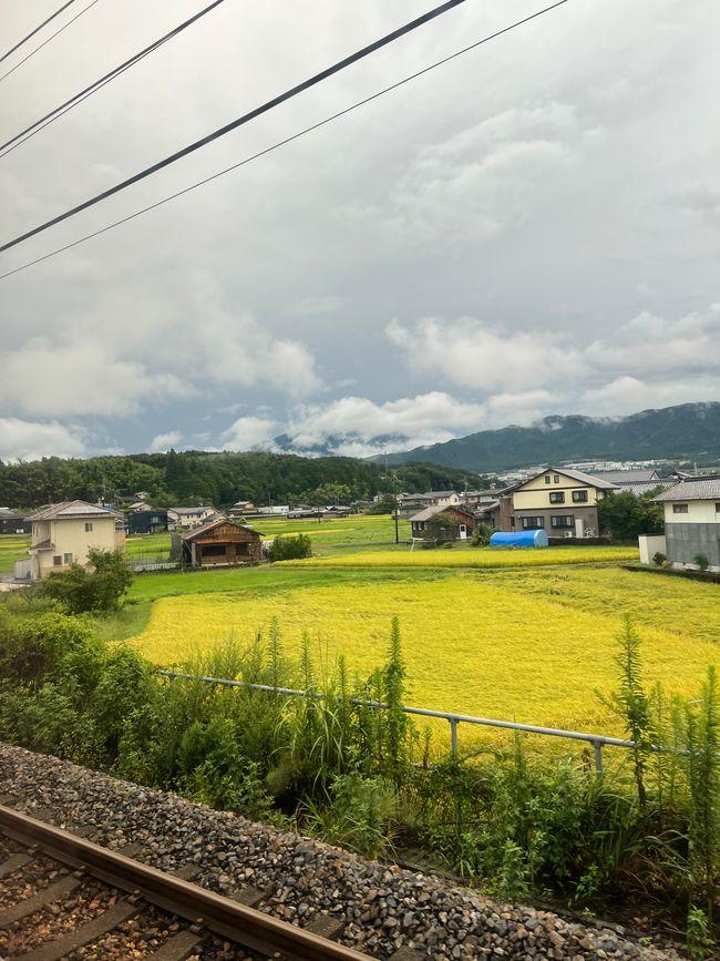 Magome to Tsumago (Hiking Trail)