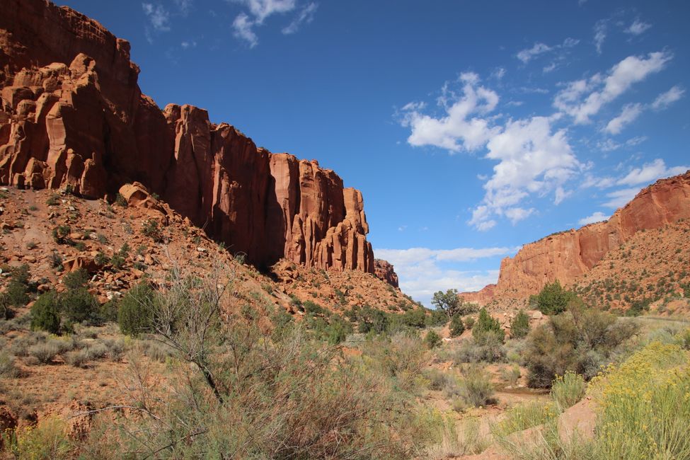 Burr Trail