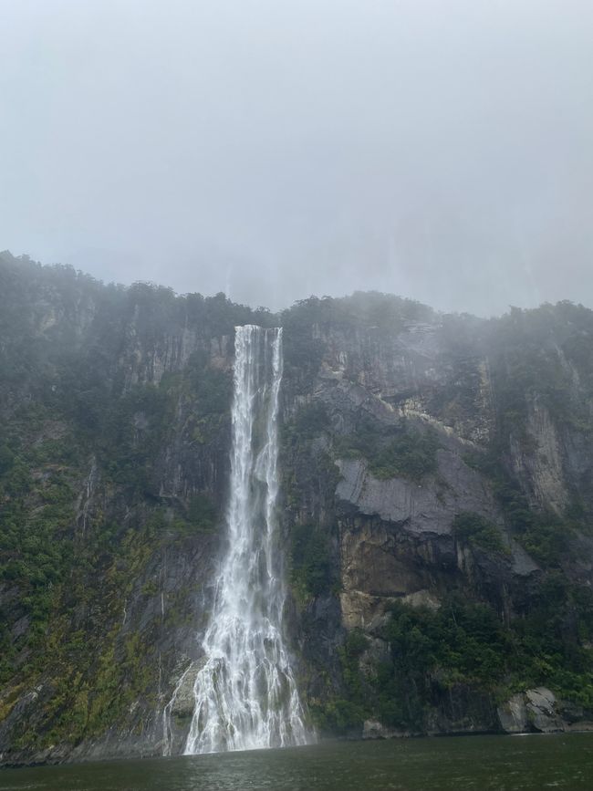 Road trip to Milford Sound