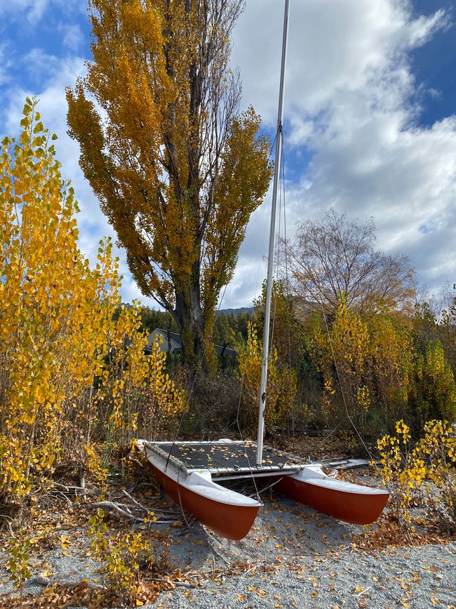 Tekapo, working and off we go