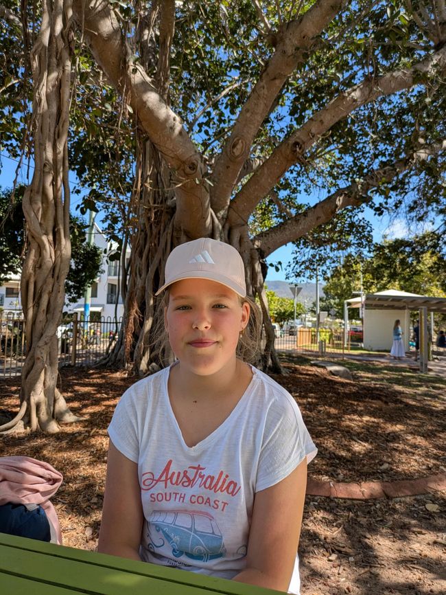 Magnetic Island, Koala und Co.