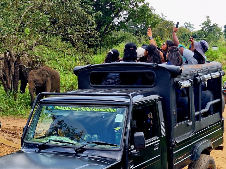 Hurulu Eco Park